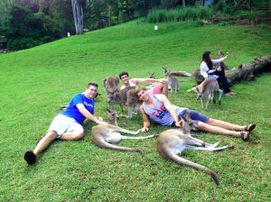 A bus ride away from Bond Campus is the Currumbin Wildlife Sanctuary, which nurses hurt wild animals back to health and has domesticated kangaroos you can hang with. This photo demonstrates Australia's commitment to protecting wildlife as well as their unique animals. 